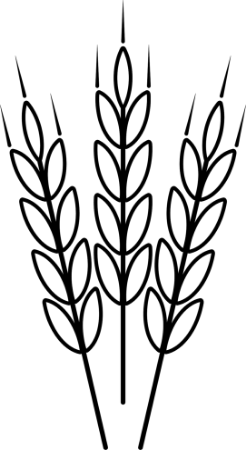 Bilde for kategori Frø & kjerner