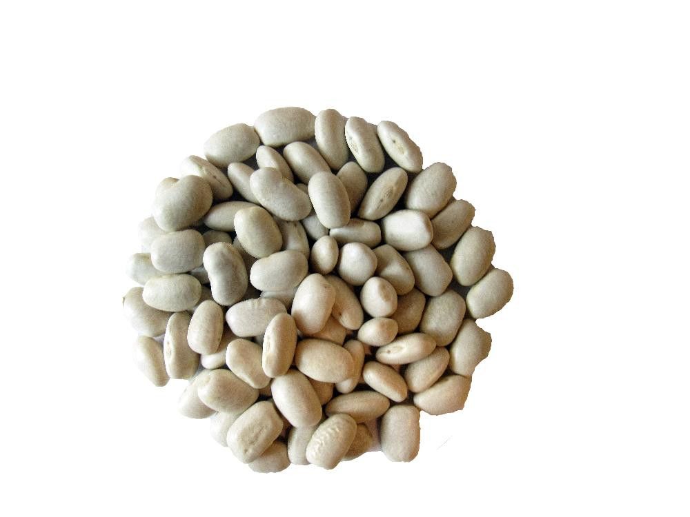 Bønner, hvite, 25 kg, økologisk
