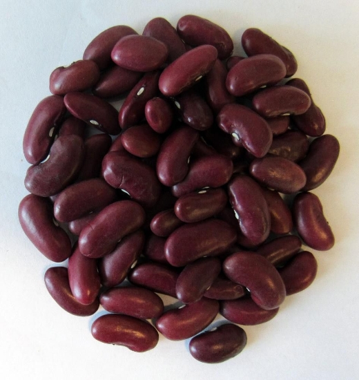 Product image for 1600