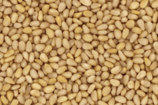 Product image for 9708