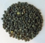 Product image for 1620