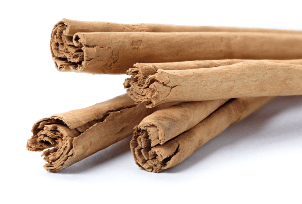 Kanel Ceylon, hel, 10 kg, økologisk
