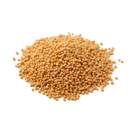 Nettbilde_1361-Sennepsfro-gule-AdobeStock_92877961-min