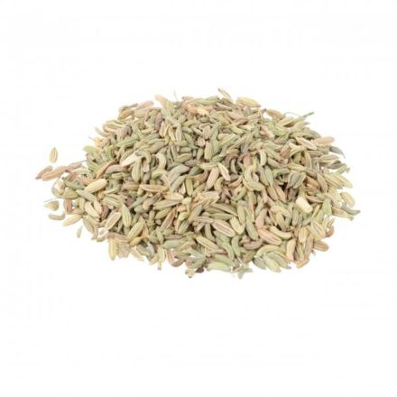 Nettbilde_1473-Fennikel-1-kg-okologisk